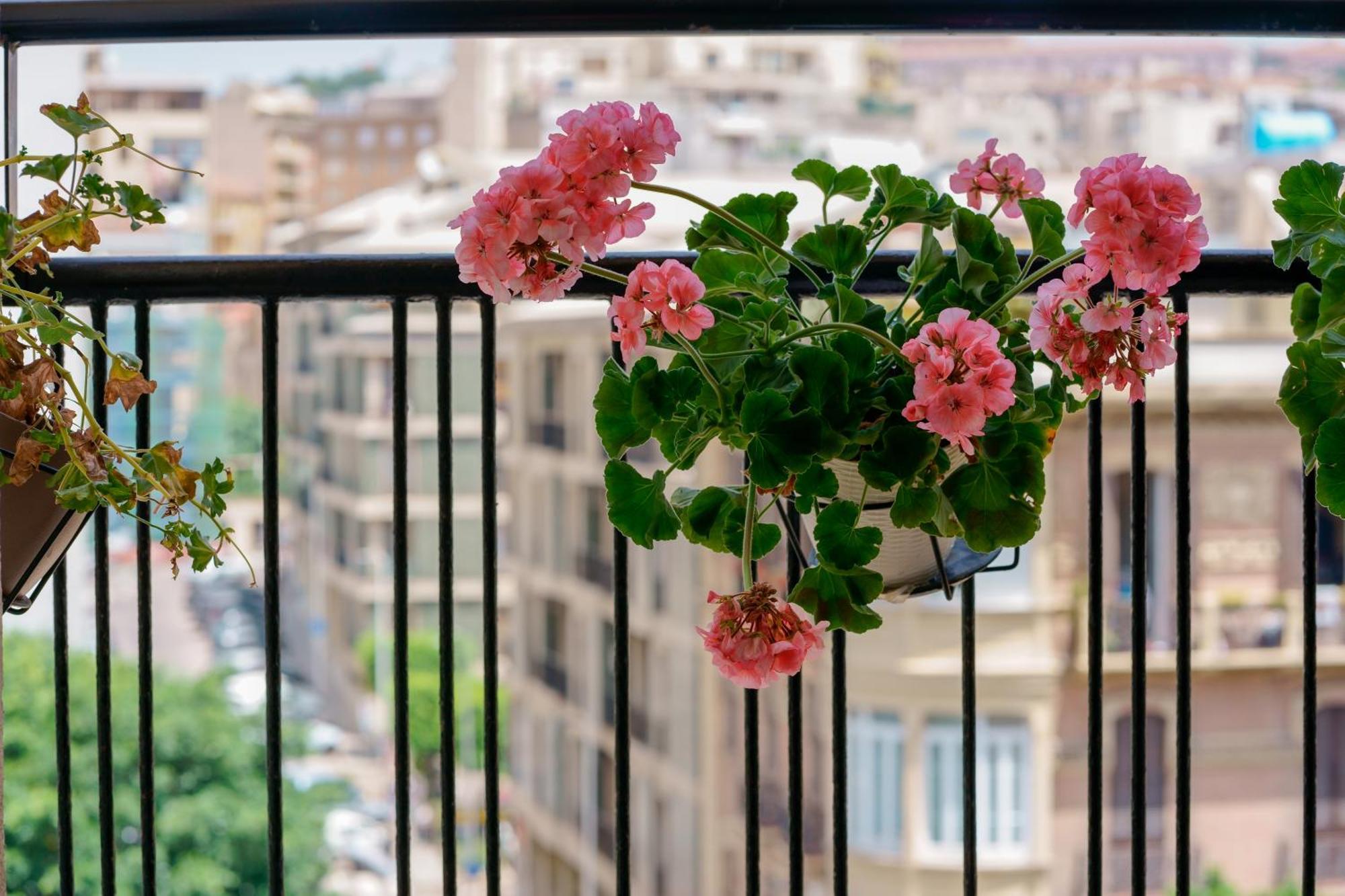 Welcome Cagliari Exterior photo